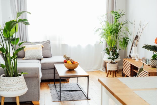 Plants and Natural Elements