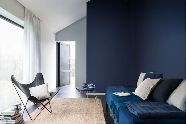 Bold Indigo & Off-White wall colour