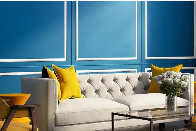 Royal Blue & Creamy White Wall Colour